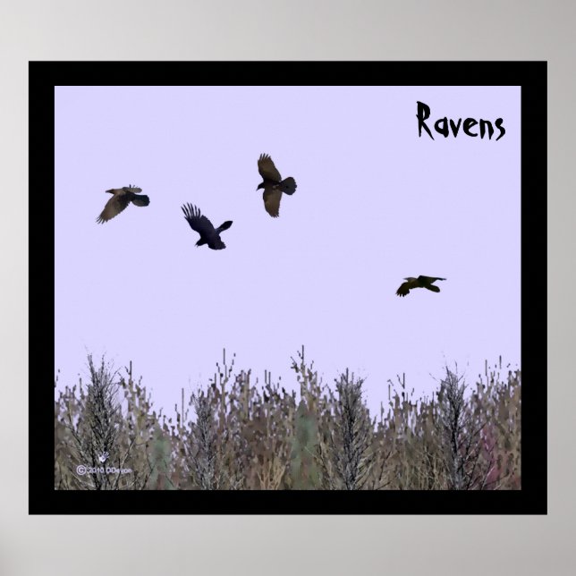 Poster Horloge des ravens (Devant)