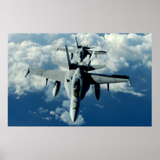 Poster Hornets au-dessus de Pearl