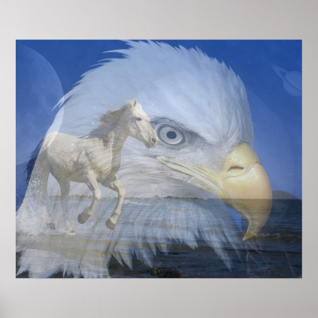 Poster/Horse and Bald Eagle in Space Poster (Front)