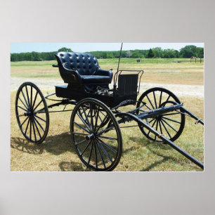 Poster Horse-drawn Doctor's buggy