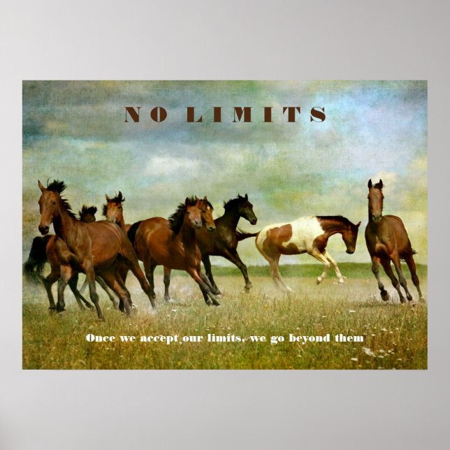 Poster Horse Motivationnel Inspirationnel Sans Limite Cit (Devant)