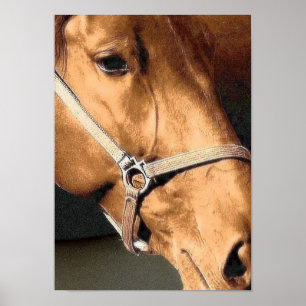 Poster Horse Portrait
