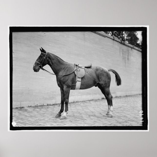 Poster Horse Show 1912 (Devant)
