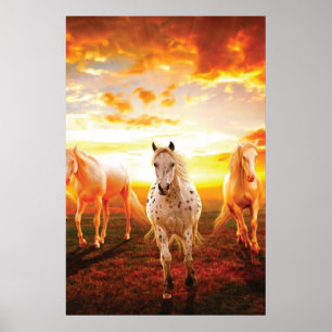 Poster Horses at sunset throw pillow