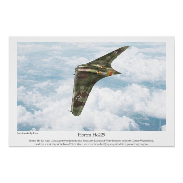 Poster Horten Ho229