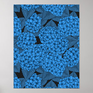 Poster Hortensia bleu