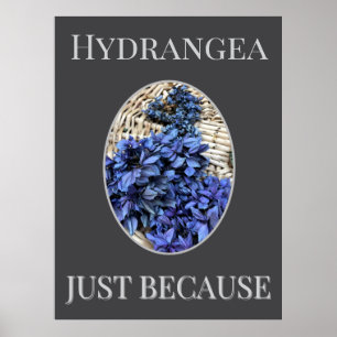 Poster Hortensia BLEU