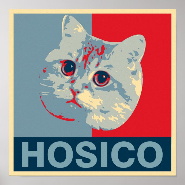 Poster Hosico - Illustration rouge bleu (Devant)