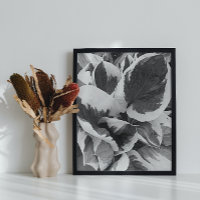 Hosta Feuille noir et blanc photo brillant
