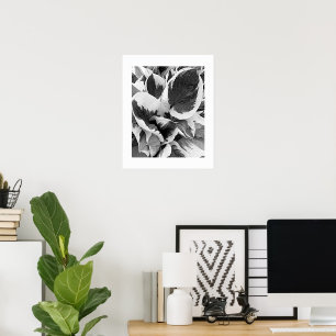 Poster Hosta panaché floral noir et blanc