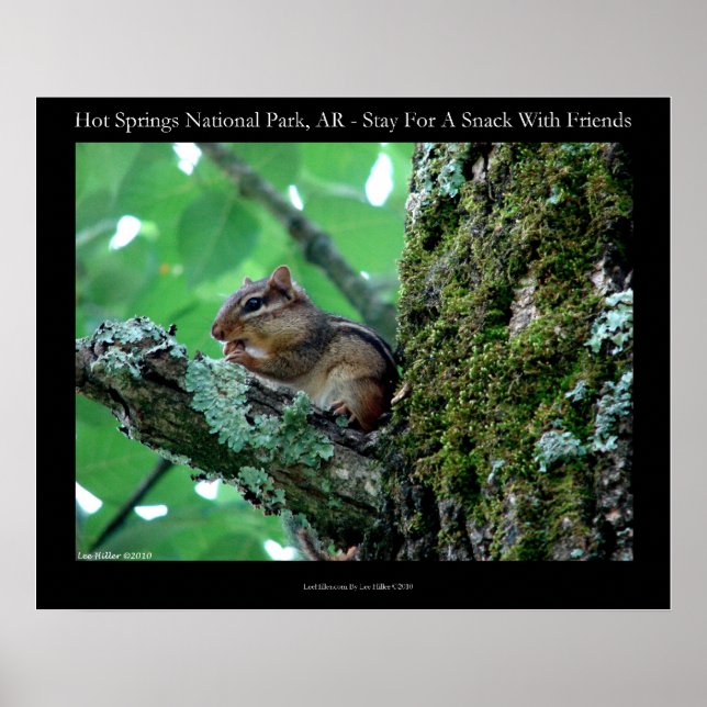 Poster Hot Springs National Park, AR Chipmunk Snack (Devant)
