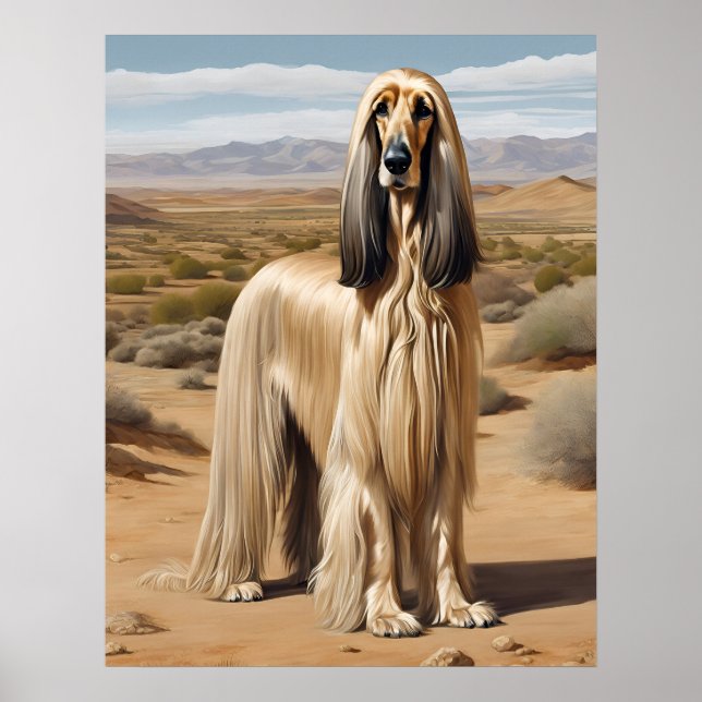 Poster Hound Afghan - Art Chien (Devant)