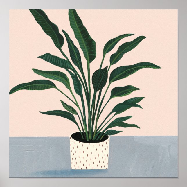 Poster Houseplant (Devant)