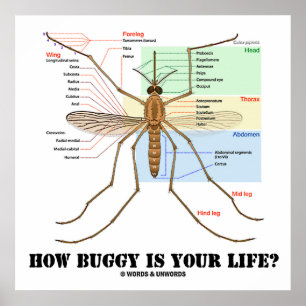 Poster How Buggy Is Your Life? Mosquito Anatomy Humor