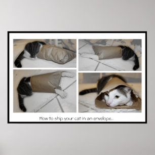 Poster How to ship your cat in an envelope...funny print