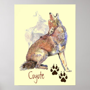 Poster Howling Coyote