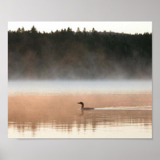Poster huard dans le brouillard matinal