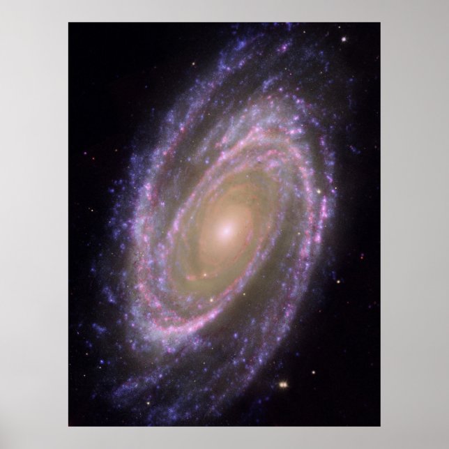 Poster Hubble - Galex - Spitzer Composite Image de M81 (Devant)