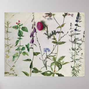 Poster Huit études sur les fleurs sauvages