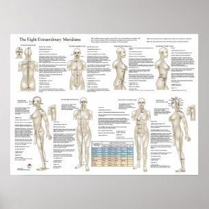 Poster Huit Méridiens Extraordinaires Acupuncture Extra