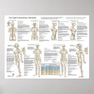 Poster Huit Méridiens Extraordinaires Acupuncture Extra