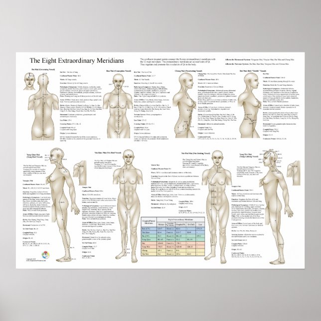 Poster Huit Méridiens Extraordinaires Acupuncture Extra (Devant)