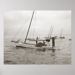 Poster Huître Boats, 1903. Photo vintage