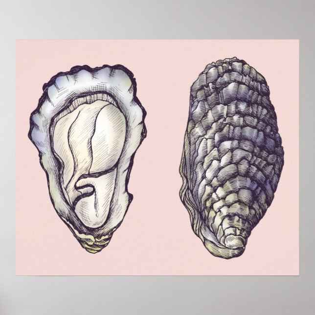 Poster Huîtres (Devant)