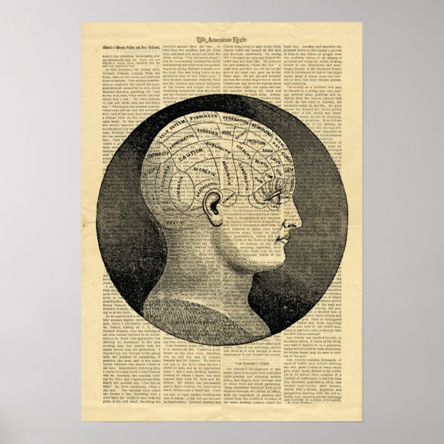 Poster Human Head Phrenology on newspaper (Front)