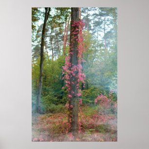 Poster Humeur forestière