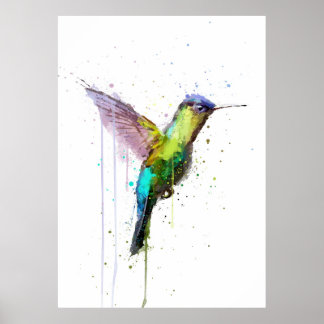 Poster Hummingbird