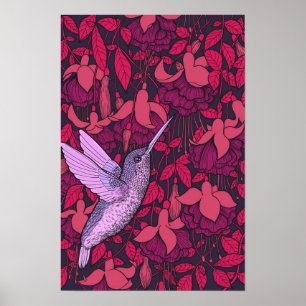 Poster Hummingbird and fuchsia violet