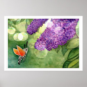 Poster Hummingbird Hawk Moth and Lilacs