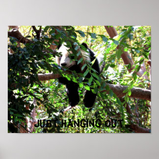 Poster humoristique Baby Panda