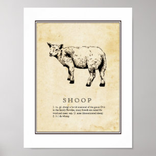 Poster Humorous Scientific Illustration - Shoop (Sheep)