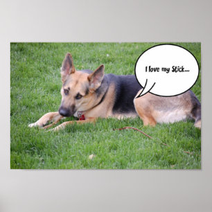 Poster Humour berger allemand