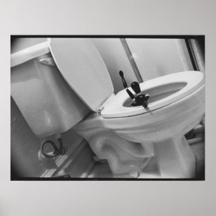 Poster Humour de toilettes