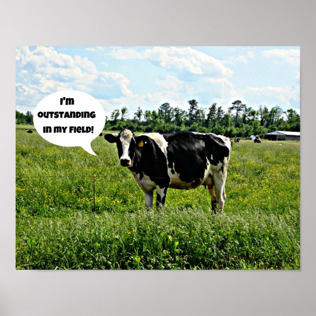 Poster Humour de vache (Devant)