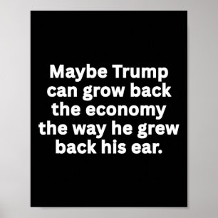 Poster Humour politique satirique et sarcastique anti-Tru