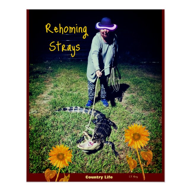 Poster Humour - Vie de campagne — Rehoming Strays (Devant)