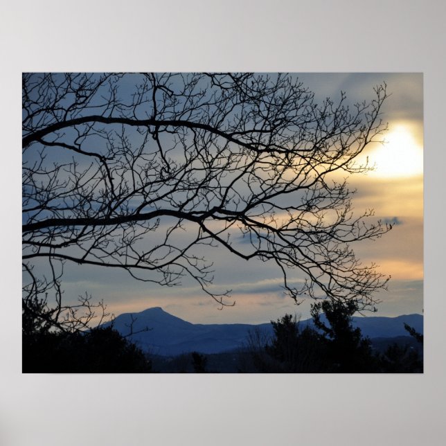 Poster Humpe de chameau (Devant)