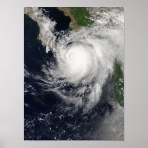 Poster Hurricane Ignacio