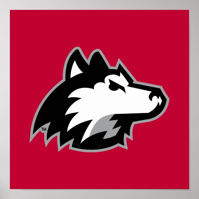 Poster Huskies du nord de l'Illinois (Devant)