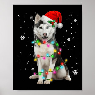 Poster Husky Chien Santa Chapeau Noël Arbre de Noël Cadea