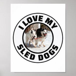 Poster Husky Sledding Sled Chig Racing Alaskan Racers