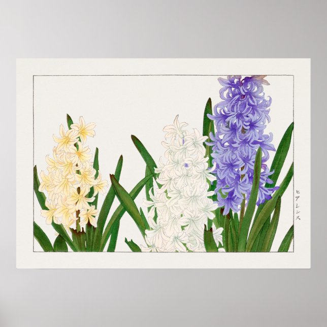 Poster Hyacinthe, blanc violet et fleurs jaunes de Konan, (Devant)