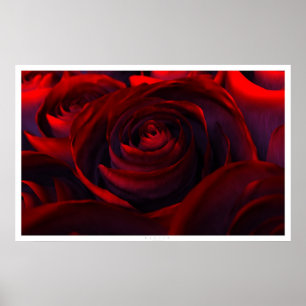 Poster Hybride (large)