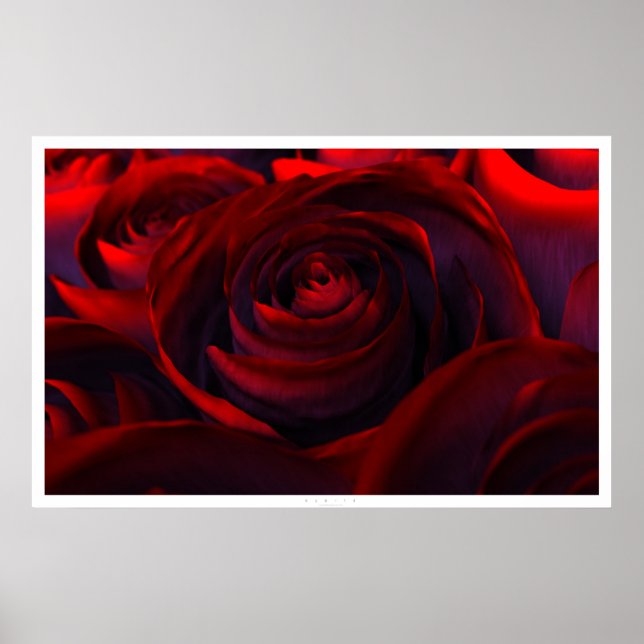 Poster Hybride (large) (Devant)