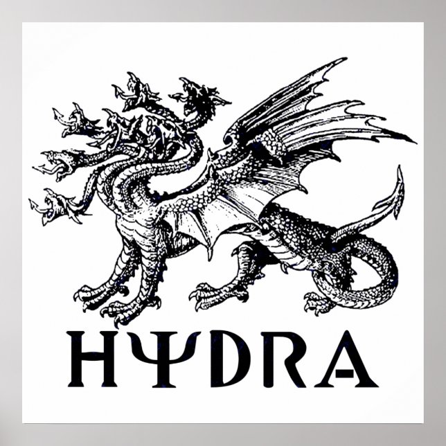 Poster Hydra (Devant)