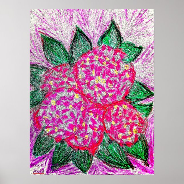 Poster Hydrangea macrophylla (Devant)